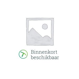 Fair Stone Natuursteen 40X40X2,5 CM Lichtgrijs