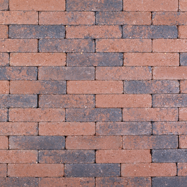 Trommelkasseien ACTIONLINE Aardmonnik 20x5x7 (wf)