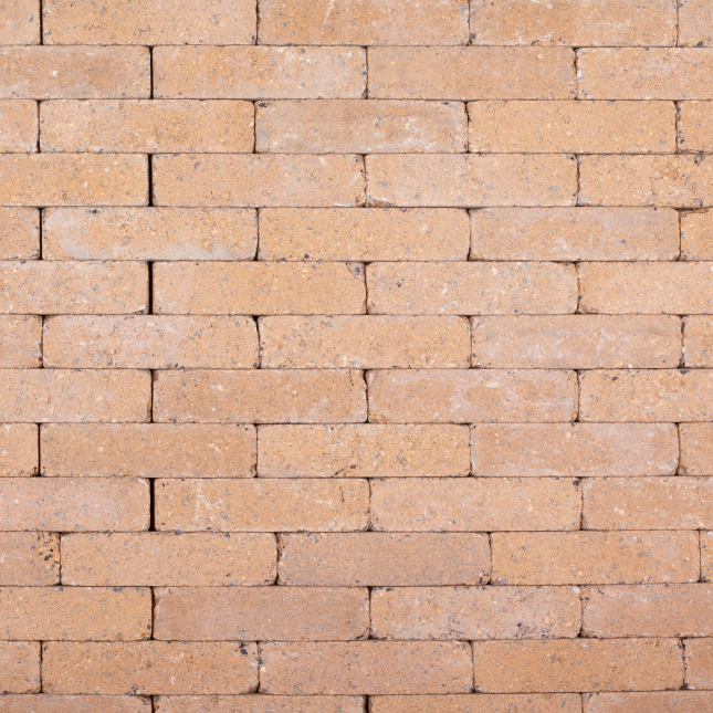 Trommelkasseien ACTIONLINE Wieze Cream 20x5x7 (wf)