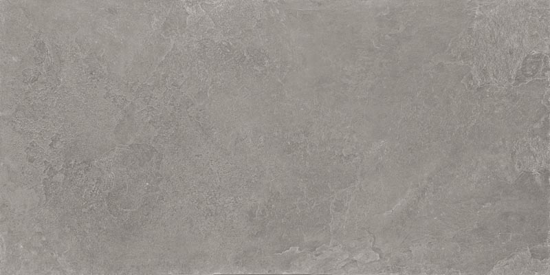 GeoCeramica Stonelook 120x60x4 cm Lichtgrijs